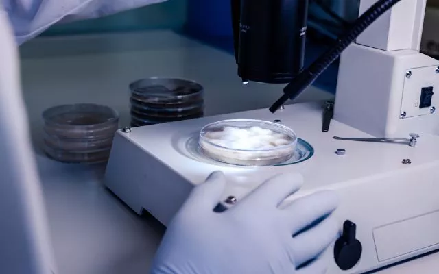 composite-lab-600-400-691d7dd477cc4